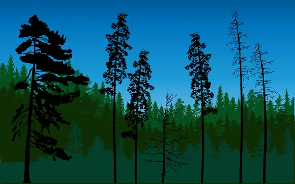 Dunkelgrüner Wald — Stockvektor