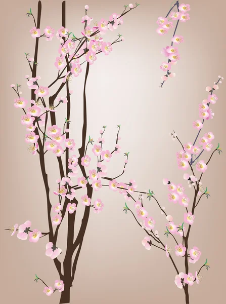 Roze spring blossoms — Stockvector