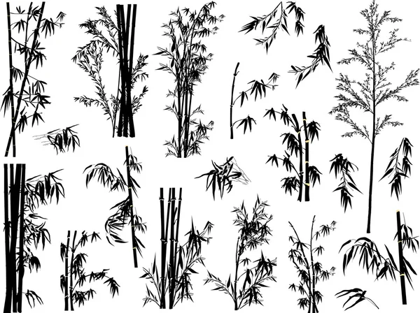 Bamboo plant silhouettes — Stock Vector