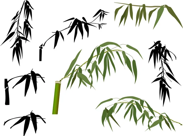 Green and black bamboo leaves — Stock Vector