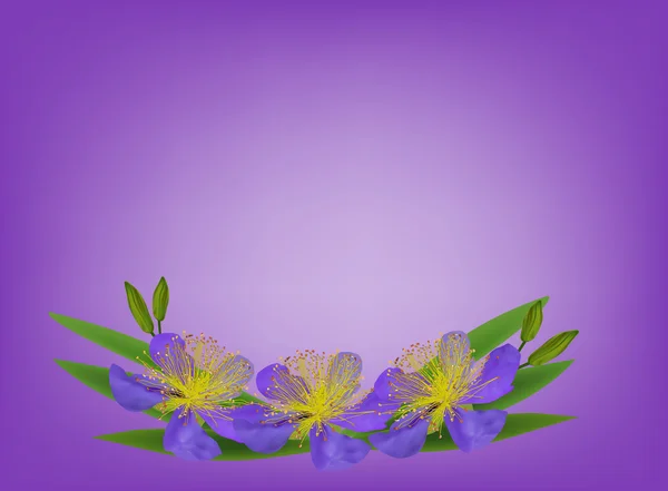 Trois fleurs — Image vectorielle