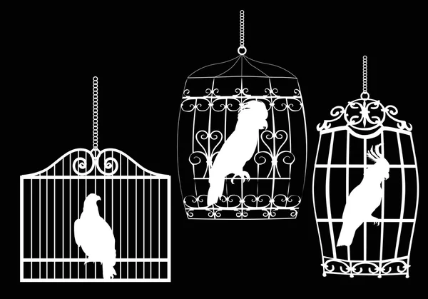 Aves en jaulas — Vector de stock