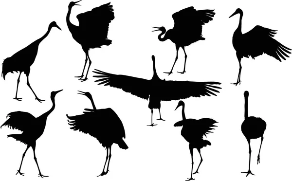 Nine  cranes — Stock Vector
