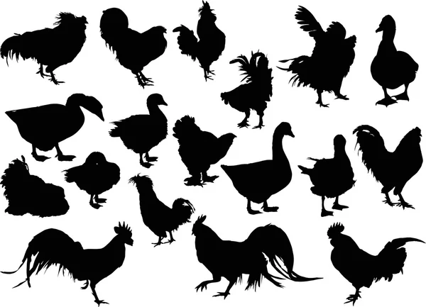 Silhuetas de pássaros de fazenda preta — Vetor de Stock