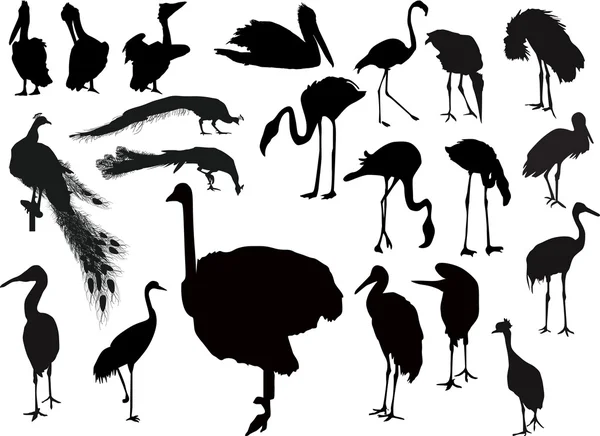 One bird silhouettes — Stock Vector