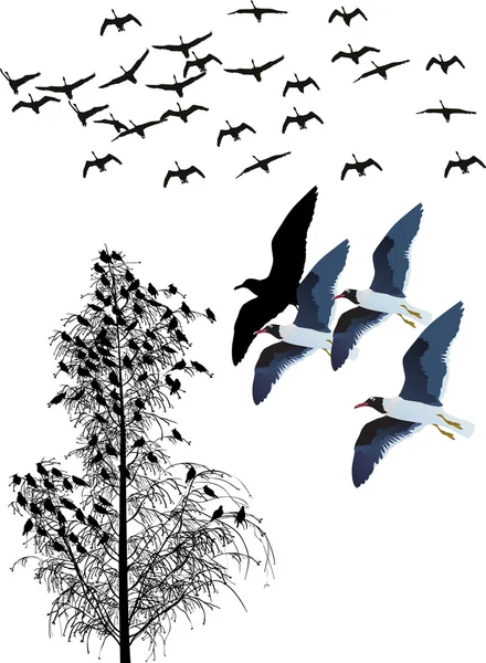 Flying birds and tree — Stock Vector