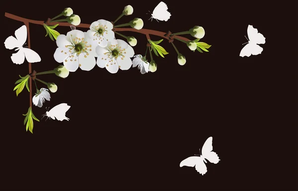 Blossoming branch and butterflies — Stock Vector