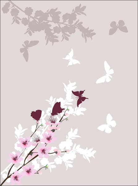 Pink  branches and  butterflies — Stock Vector