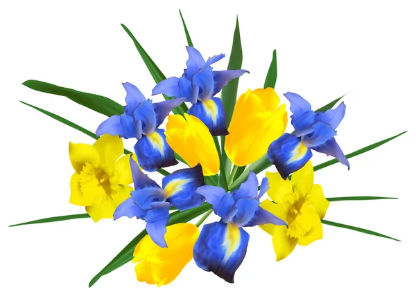 Narzissen, Iris und Tulpenblüten — Stockvektor