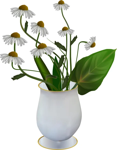 Flores de camomila em vaso — Vetor de Stock