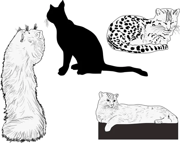 Ensemble de chats — Image vectorielle