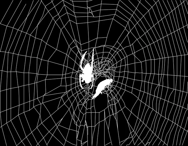 Araña en la web — Archivo Imágenes Vectoriales