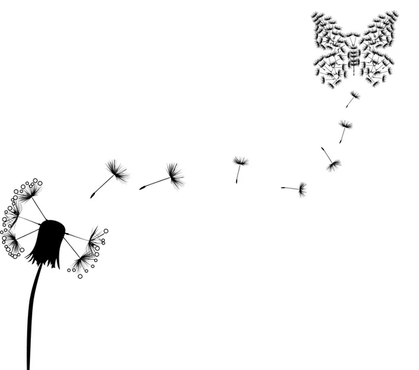 Pissenlit et papillon — Image vectorielle