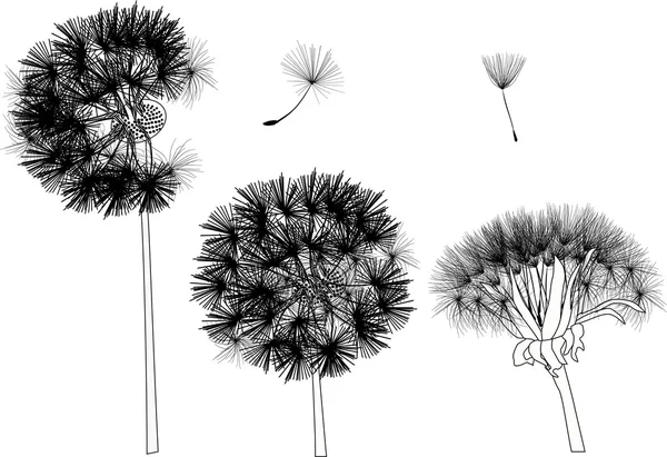 Black dandelions — Stock Vector