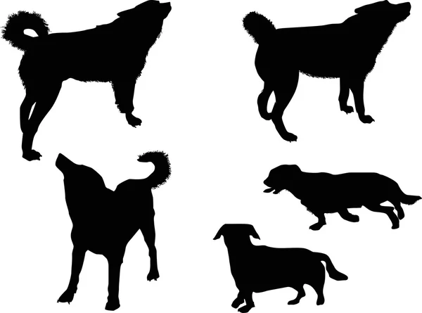 Dogs black silhouettes — Stock Vector