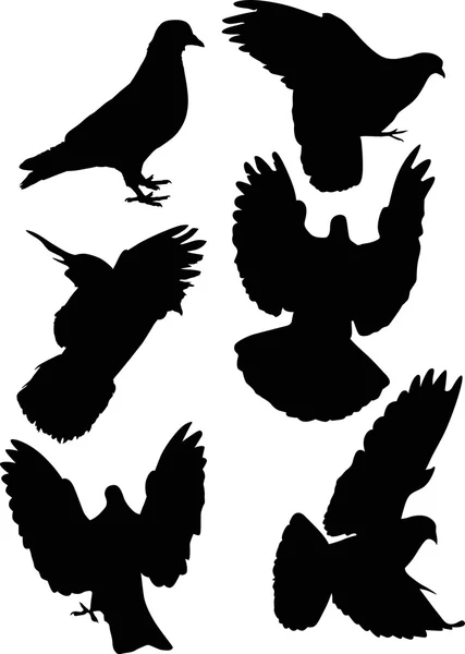 Duif silhouetten — Stockvector