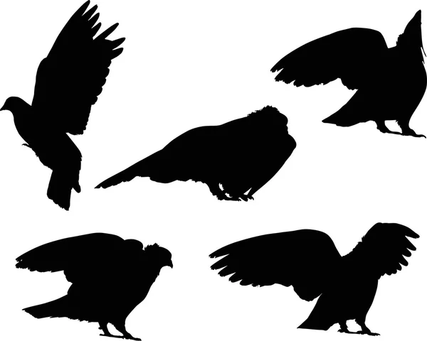 Schwarze Tauben — Stockvektor