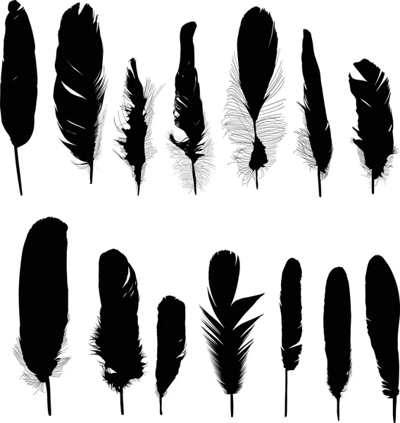 Plumas negras — Archivo Imágenes Vectoriales