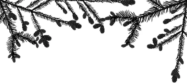 Чорний fir гілок — стоковий вектор