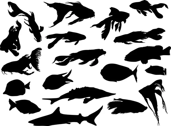 Fishes collection — Stock Vector