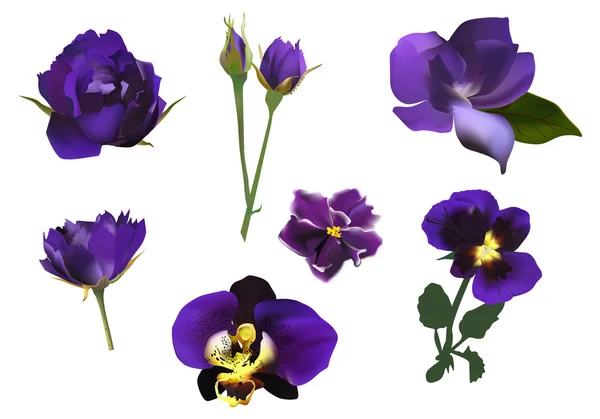 暗蓝色的花朵 — 图库矢量图片
