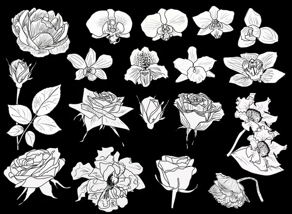 Blommor skisser — Stock vektor