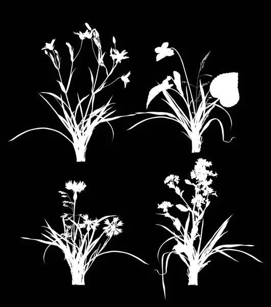 Wilde bloemen in het gras — Stockvector