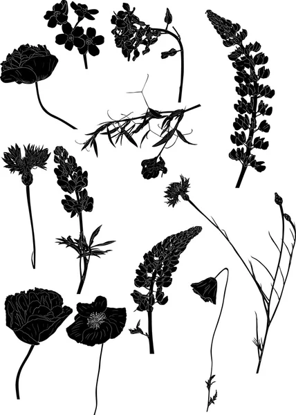 Wilde bloemen — Stockvector