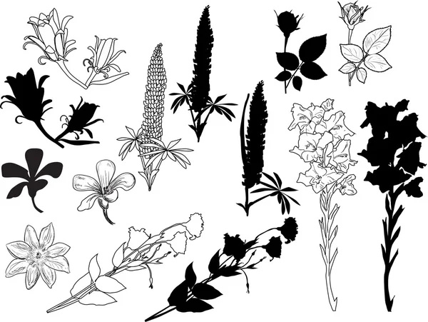 Flower sketches and silhouettes — Stock Vector