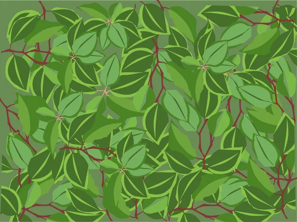 Зеленая пышная листва — стоковый вектор