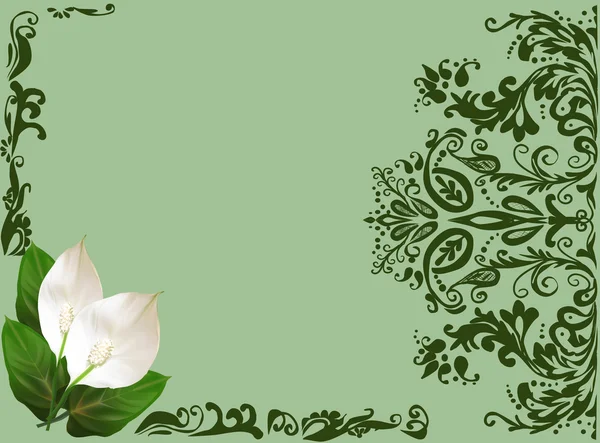 Fleurs blanches en vert — Image vectorielle