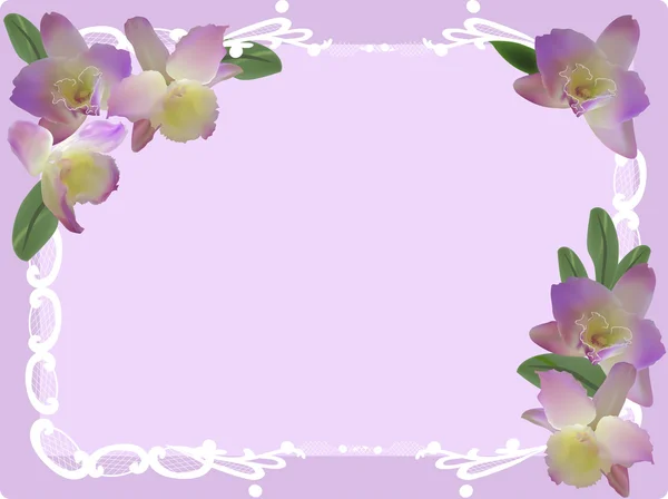 Çerçeve içinde orkide — Stok Vektör