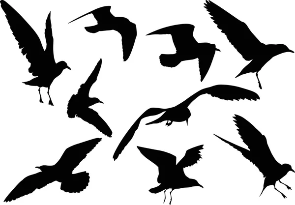 Чайки силует — стоковий вектор