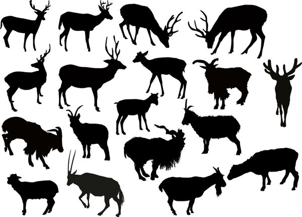 deers and goats silhouettes