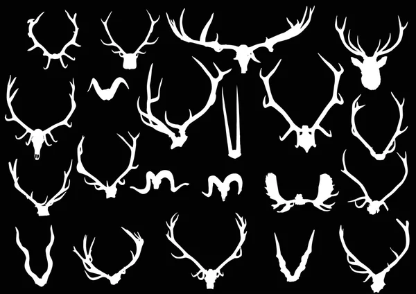 Antler en hoorns — Stockvector