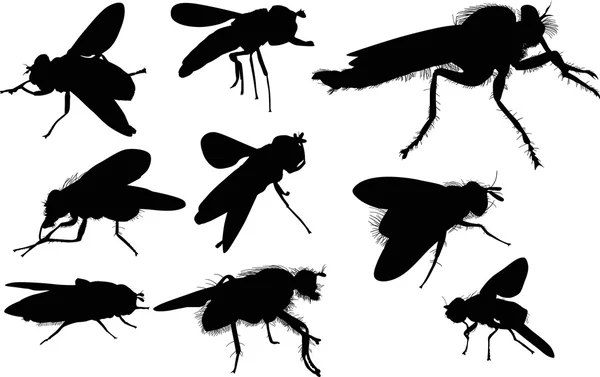 Fly silhouettes — Stock Vector