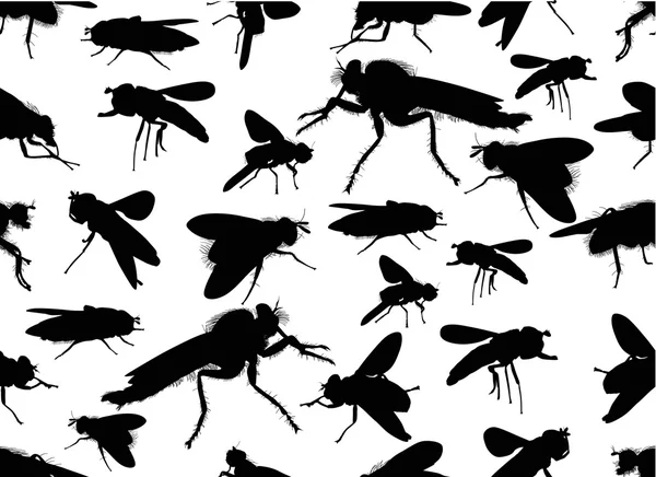 B fly silhouettes — Stock Vector