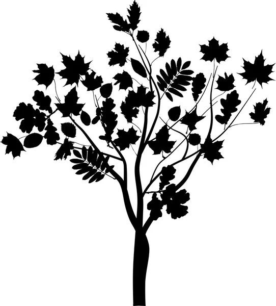 Árbol abstracto negro — Vector de stock