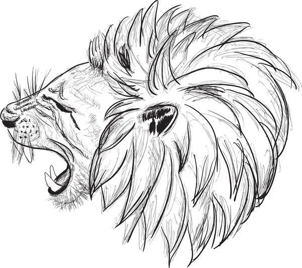 狮子头素描 — 图库矢量图片