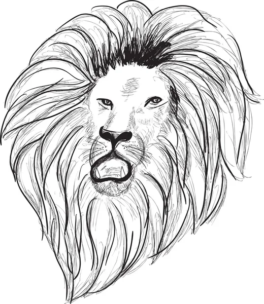 Croquis tête de lion — Image vectorielle