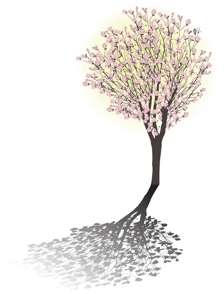 Magnolia blossom tree — Stock Vector