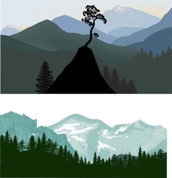 Les v horách — Stockový vektor