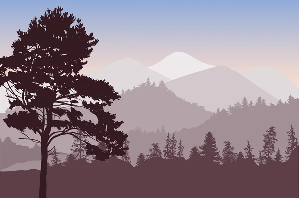 Forest in mountains — Stock Vector