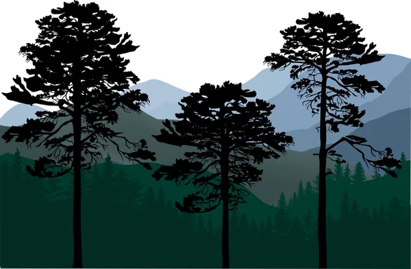Forest in mountains — Stock Vector