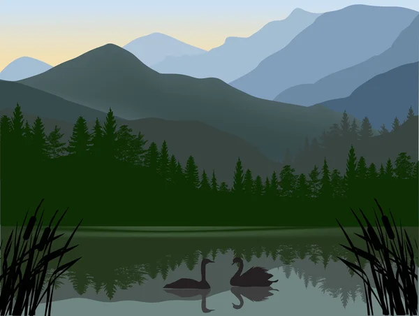 Два лебедя в озере — стоковый вектор