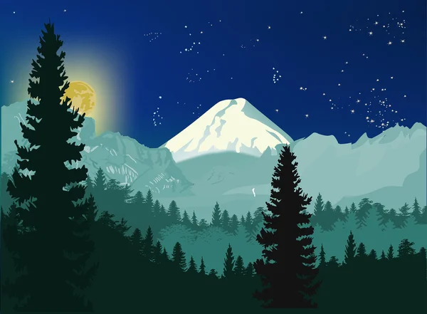 Noche de luna en el bosque — Vector de stock