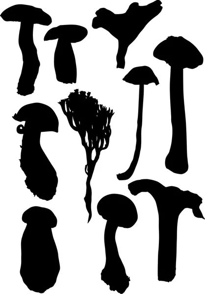 Funghi neri — Vettoriale Stock