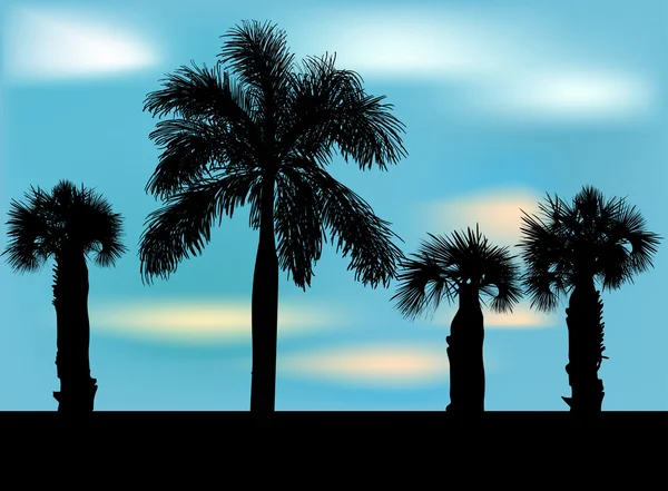 Palm tree silhouettes — Stock Vector