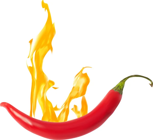 ROT HOT CHILLI PEPPER — Stockvektor