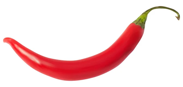 Rood gekookte chili peper — Stockvector